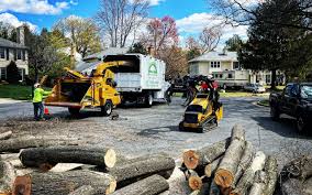Best Lawn Disease Treatment  in Arthurdale, WV