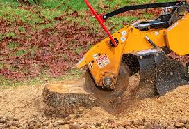 Best Lawn Watering Services  in Arthurdale, WV